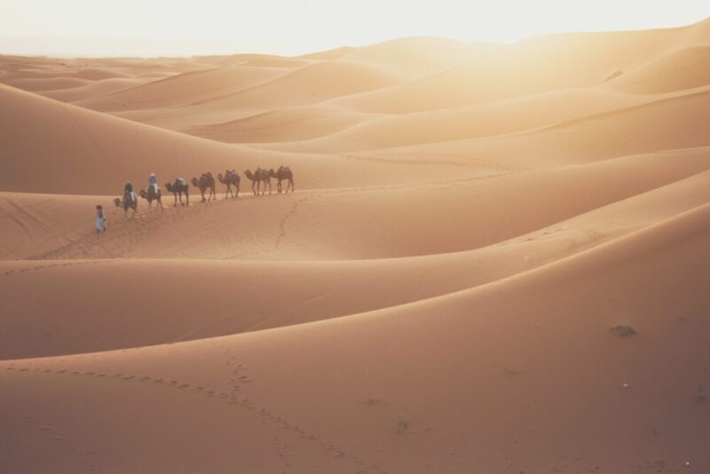 Caravane dans les dunes du Sahel
